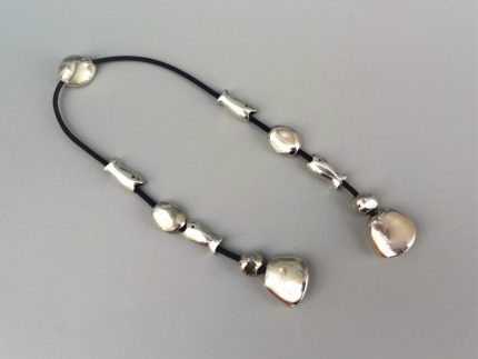 Silver begleri with fishes